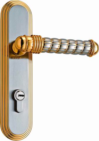 门业图片-门锁门锁FTL图片
