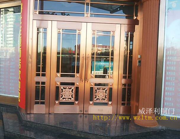 门业图片-仿铜门仿铜门WZL图片